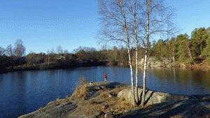 Udde i norra Lundsjön (Från vandring Rundvandring i det vackra Erstaviksområdet 2015-11-22 10 km)