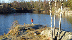 Udde i norra Lundsjön