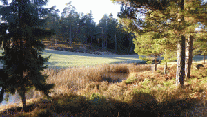 Golfbanan norr om Lundsjön