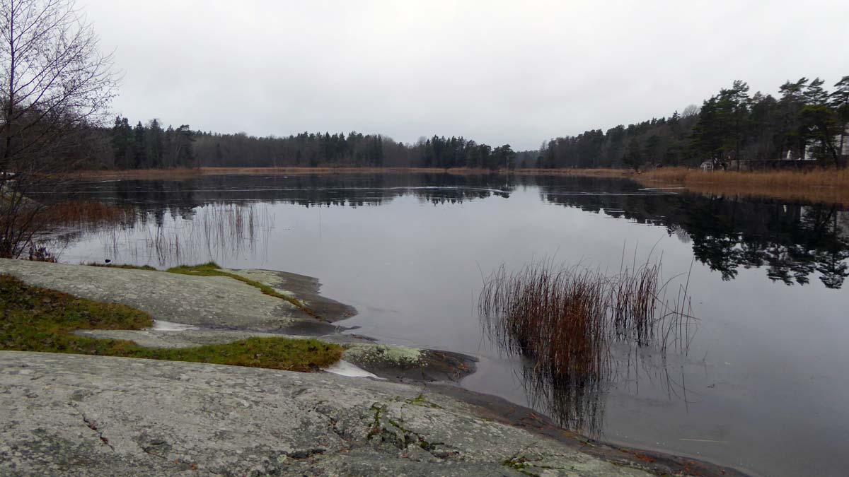 Sjön nära Aspviksvägen