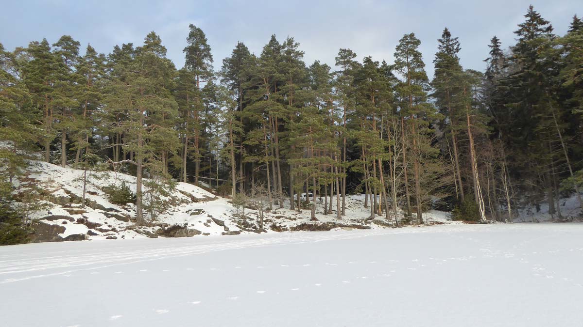 Rastplatsen vid nordöstra viken av Stensjön, sedd utifrån isen