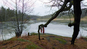Albysjön mitt emot Rundmar