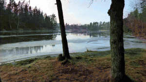 Utsikt mot Albysjön från Rävnäset