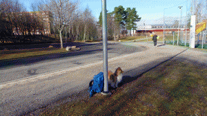 Busshållplats Hovsjöskolan - vår valda startpunkt för Täljeleden