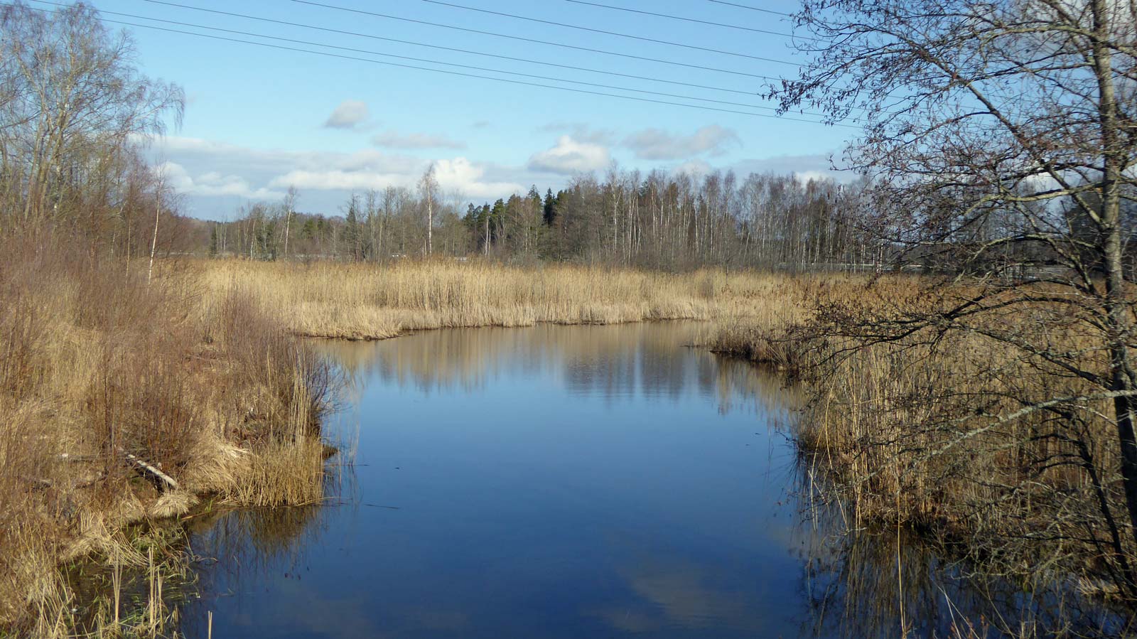 Måsnarens utlopp