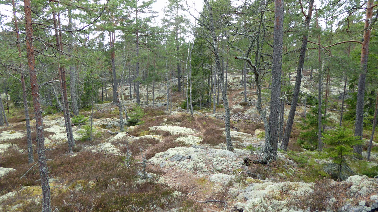 Täljeleden norr om vägen mot Strängnäs