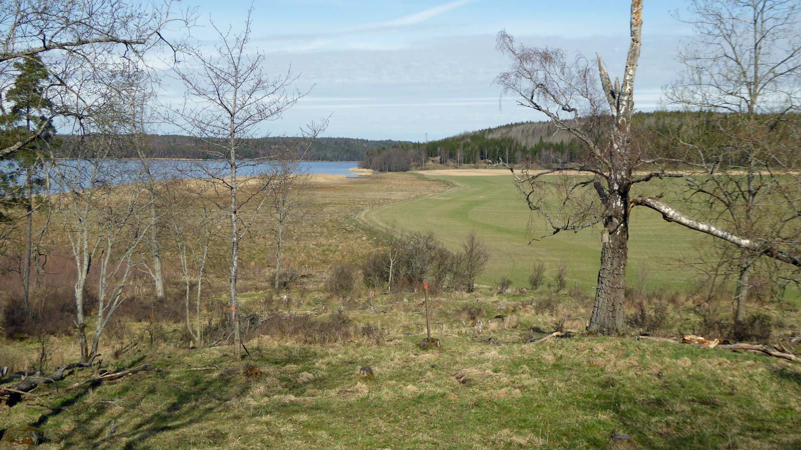 Sörmlandsleden norr om Näs går ett tag längs en åkerkant. Under högsommaren kan här vara högt gräs en liten bit, men på våren är det inga problem.