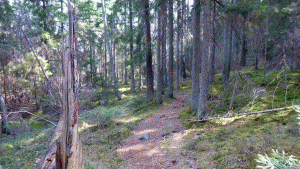 Sörmlandsleden vid Stora Träskets naturreservat