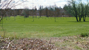 Golfbana nära Rinkebyskogen