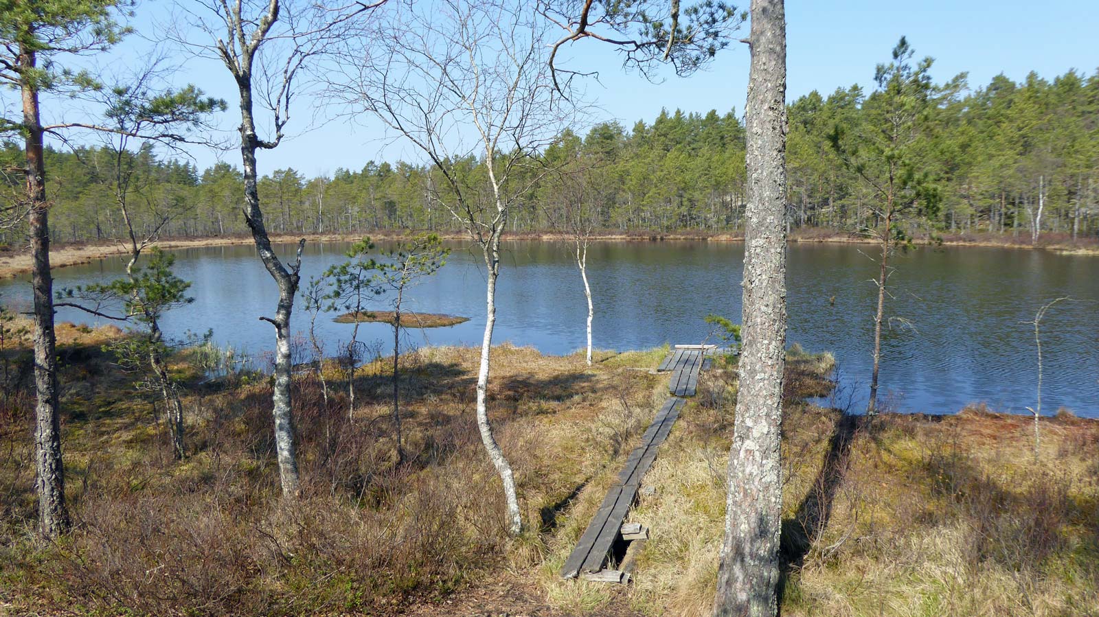 Vattgruvmossen (Från vandring Järna-Mölnbo 2016-05-04 16 km)