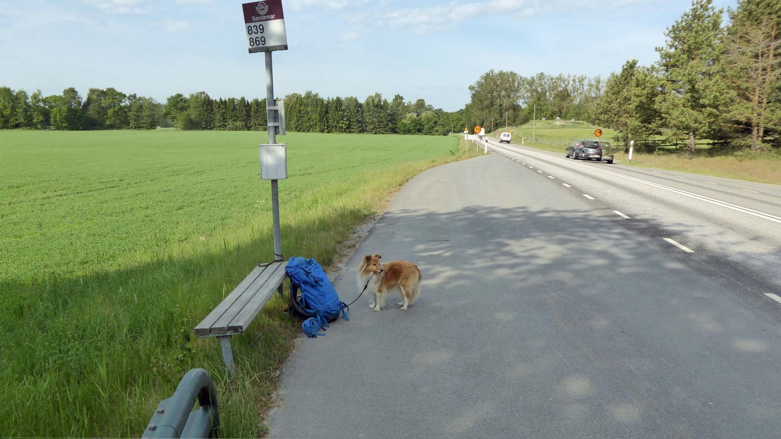 Starten vid Sandemar busshållplats 08:35 (Från vandring Sandemar-Nyfors 2016-06-01 16 km)