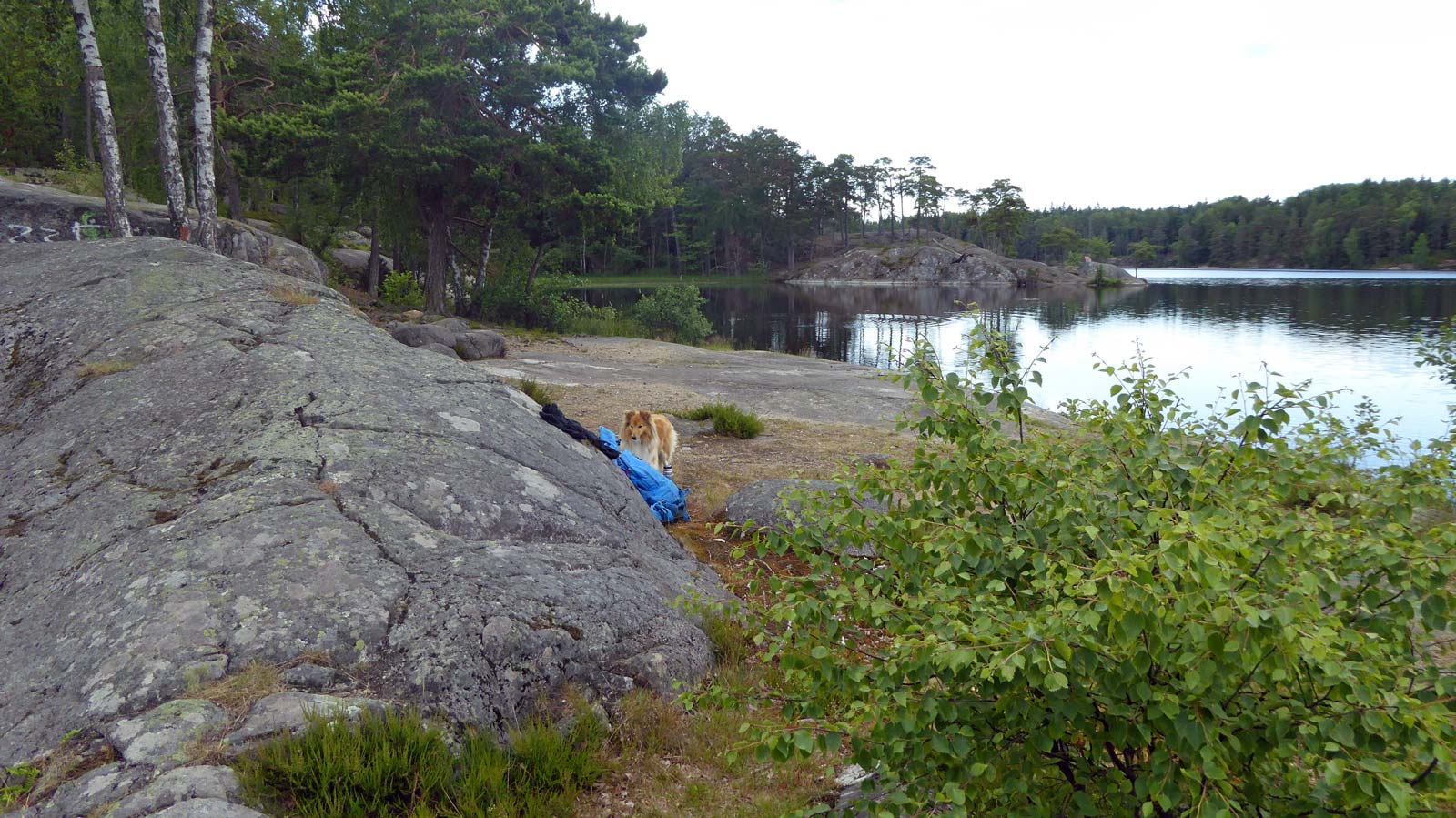 Fikarast med härligt bad i silkesmjukt vatten vid Lundsjön