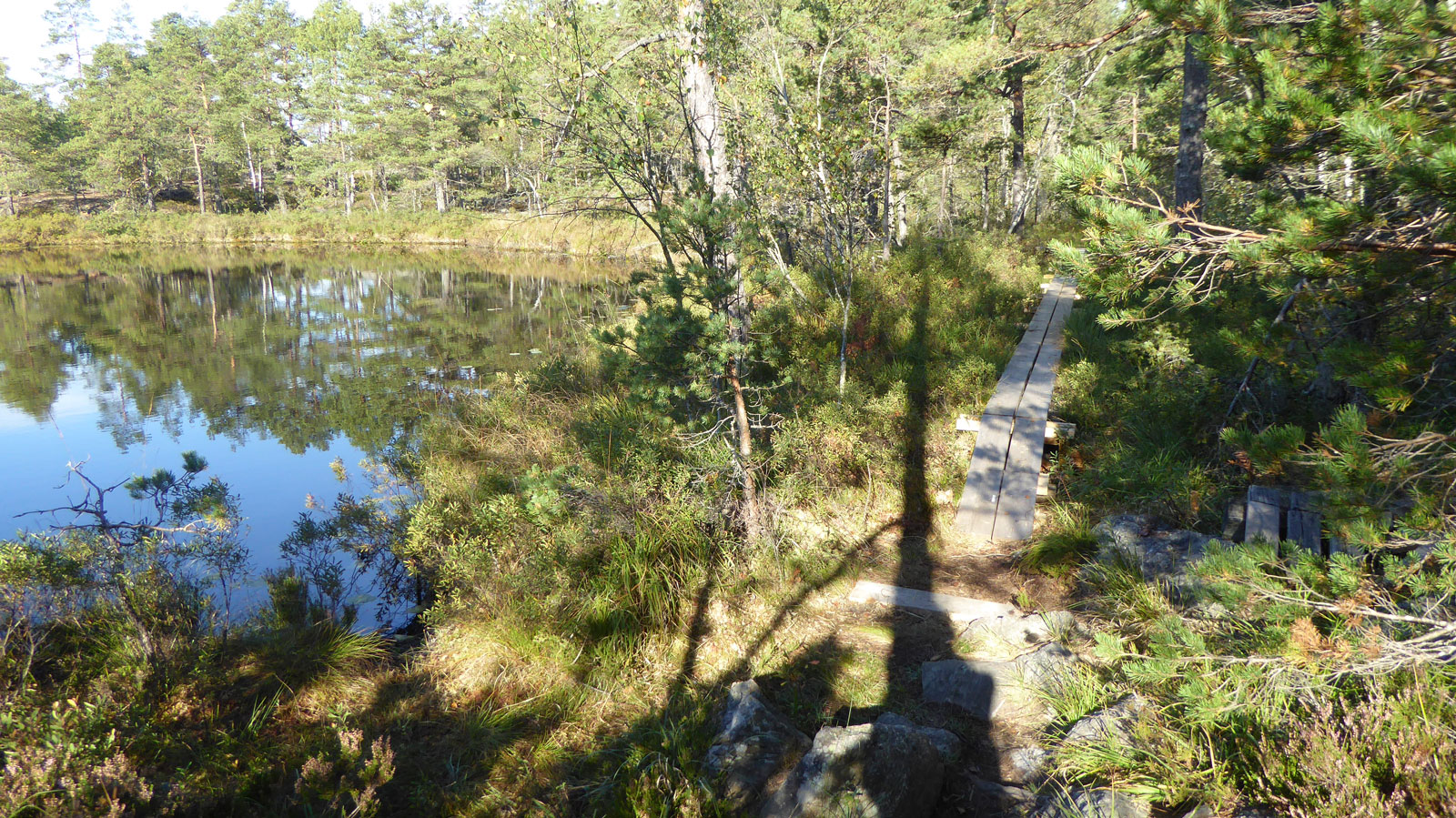 Svartsjön (Från vandring Jordbro-Flemingsberg 2016-09-21 24 km)