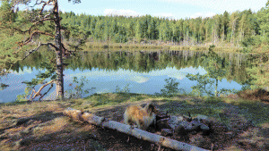 Kärrsjön (vid Kärrtorp/Kvarnsjön)