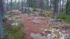 Här delar sig stigen - var uppmärksam på grenen som går till vänster upp över klippan. Den högra stigen leder till Lyckebyn, den vänstra mot Tyresta och Svartbäcken.