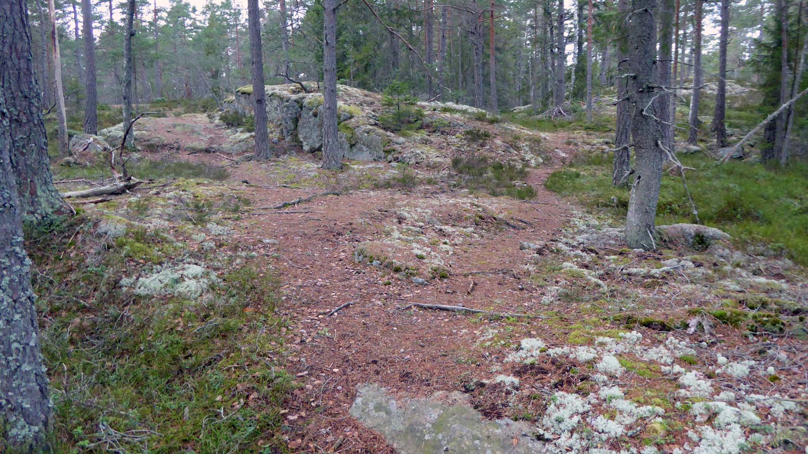 Här delar sig stigen - var uppmärksam på grenen som går till vänster upp över klippan. Den högra stigen leder till Lyckebyn, den vänstra mot Tyresta och Svartbäcken.