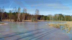 Träsket mellan Långsjön och Albysjön