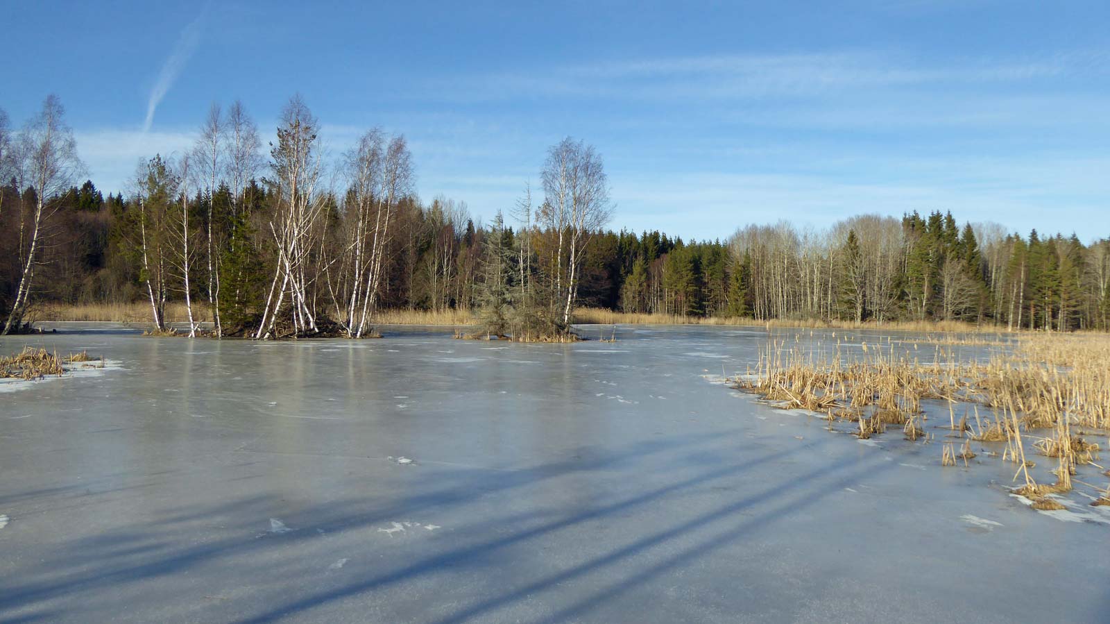 Träsket mellan Långsjön och Albysjön