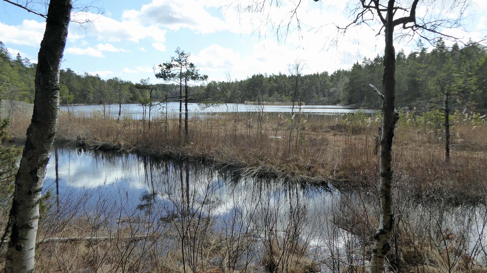 Bild från rastplatsen i skogsbrynet vid norra Dammsjön