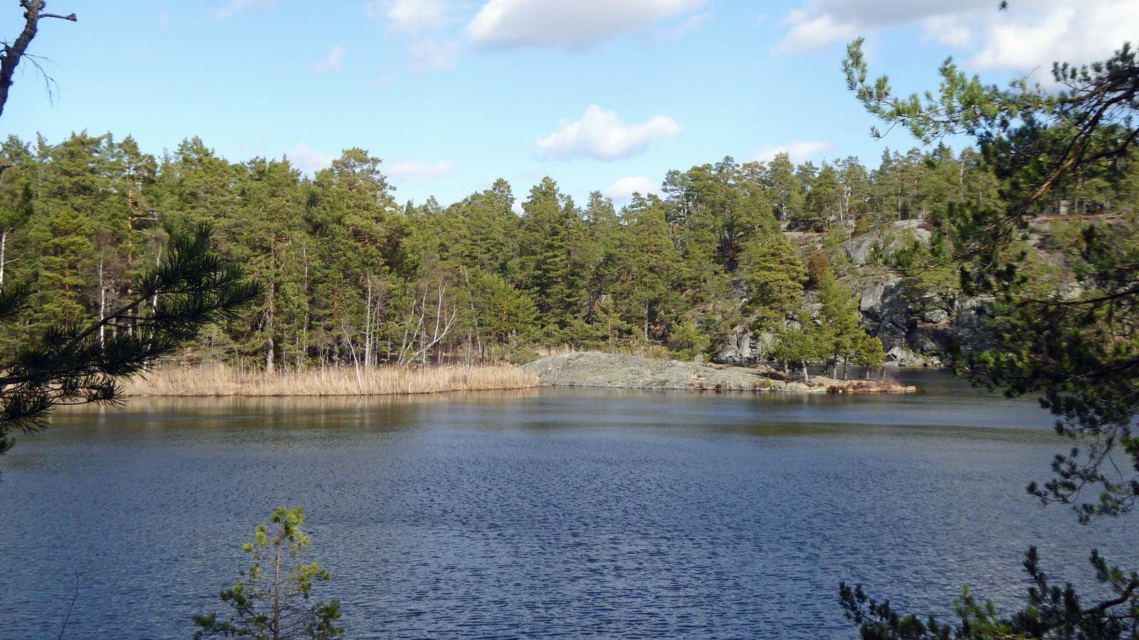 Udden vid norra Dammsjön (Från vandring Nacka kvarn-Fisksätra 2017-04-05 15 km)