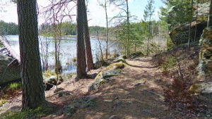 Kvarnsjöns Kärrsjö, på norra sidan