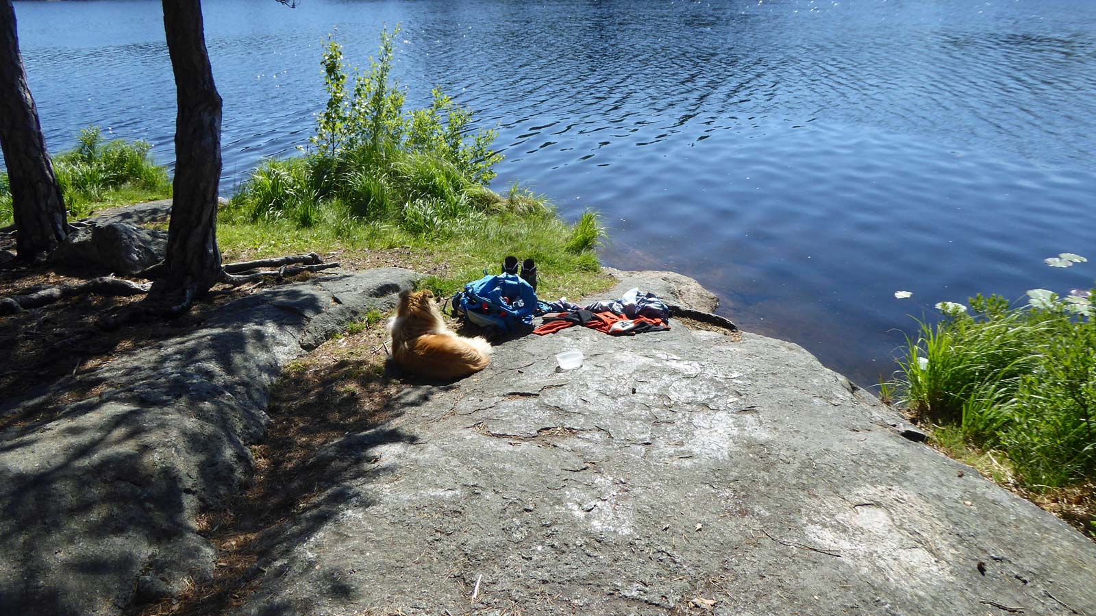 Morgonfika vid vindskyddet vid Årsjön