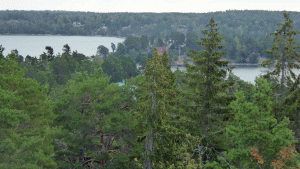 Tynningö klack - utsikt mot Hästholmen och Värmdö (Södernäs) (Från vandring Tynningö 2019-08-01 14 km)