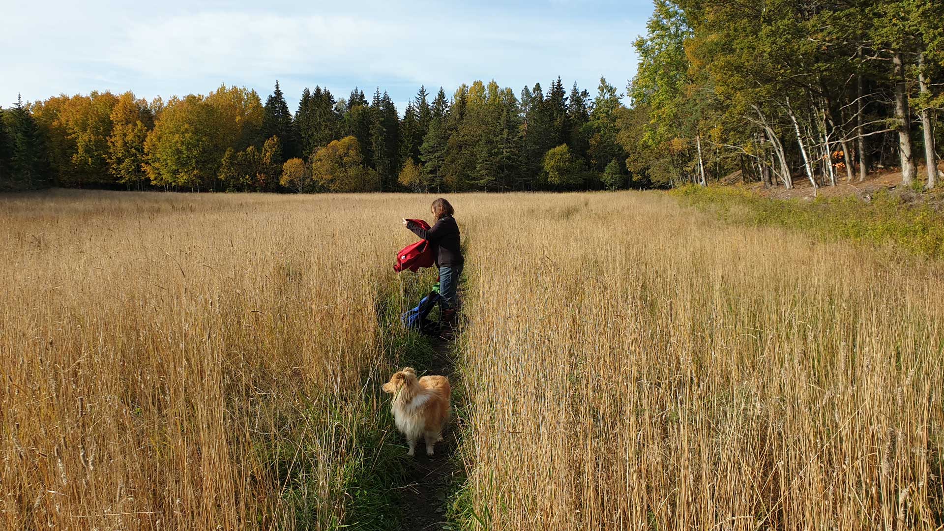 Från promenad från Norra Lagnö via Ösby Träsk till Gustavsberg 2019-10-06 (ej med i vandringssammanställningen) (Från vandring Ej beskrivna vandringar hösten 2019 2019-12-30 335 km)