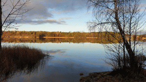 Ältasjön. Från vandring Farsta-Tenntorp 2019-12-15