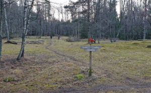 Stensättra (rundvandring Flemingsbergsskogen 2020-01-12)