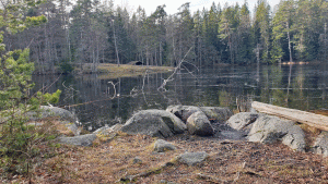 Lanan (från vandring Sandemar-Nyfors 2020-02-20)