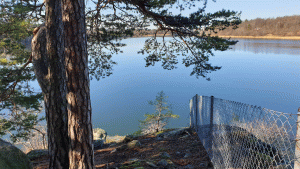 Brunnsviken från udde i Bergianska trädgården (från vandring Tekniska Högskolan-Östervägen 2020-03-06)