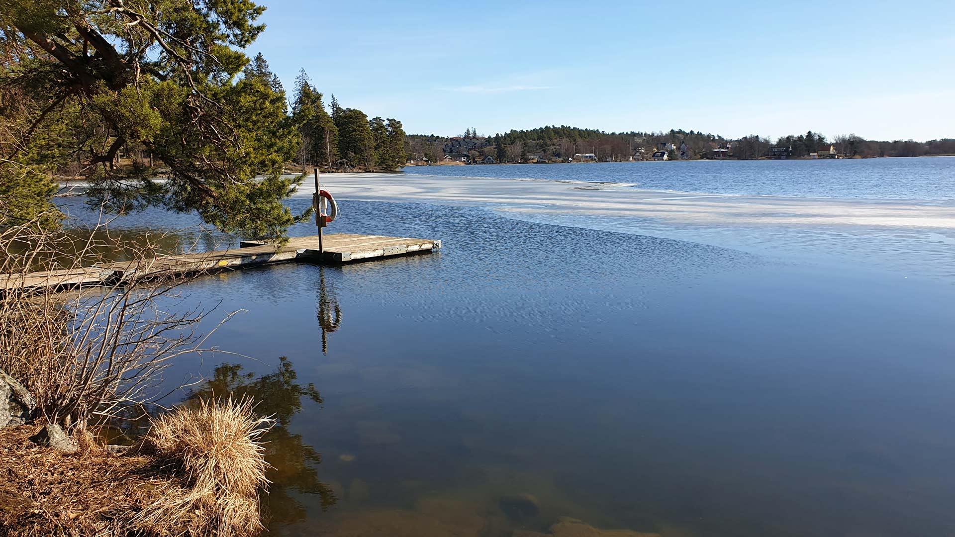 Ältasjön, där vinterisen nästan var borta.