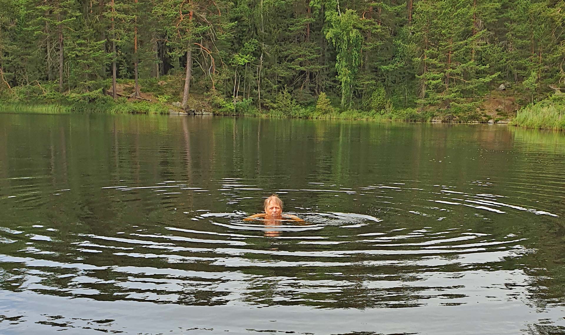 Härligt bad vid udden i norra Dammsjön