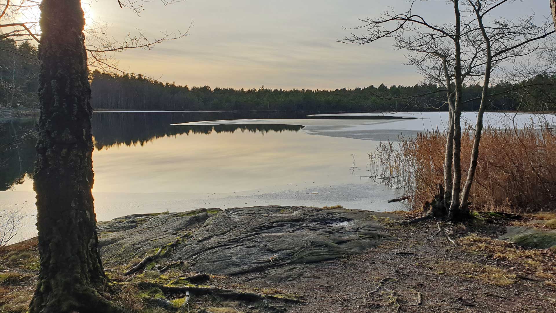 Strålsjön (från vandring Skarpnäck-Tenntorp 2021-11-24)
