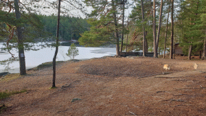 Sandasjön (från vandring Skarpnäck-Tenntorp 2021-11-24)