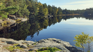 Sandasjön (vandring Tenntorp-Skarpnäck 231010)