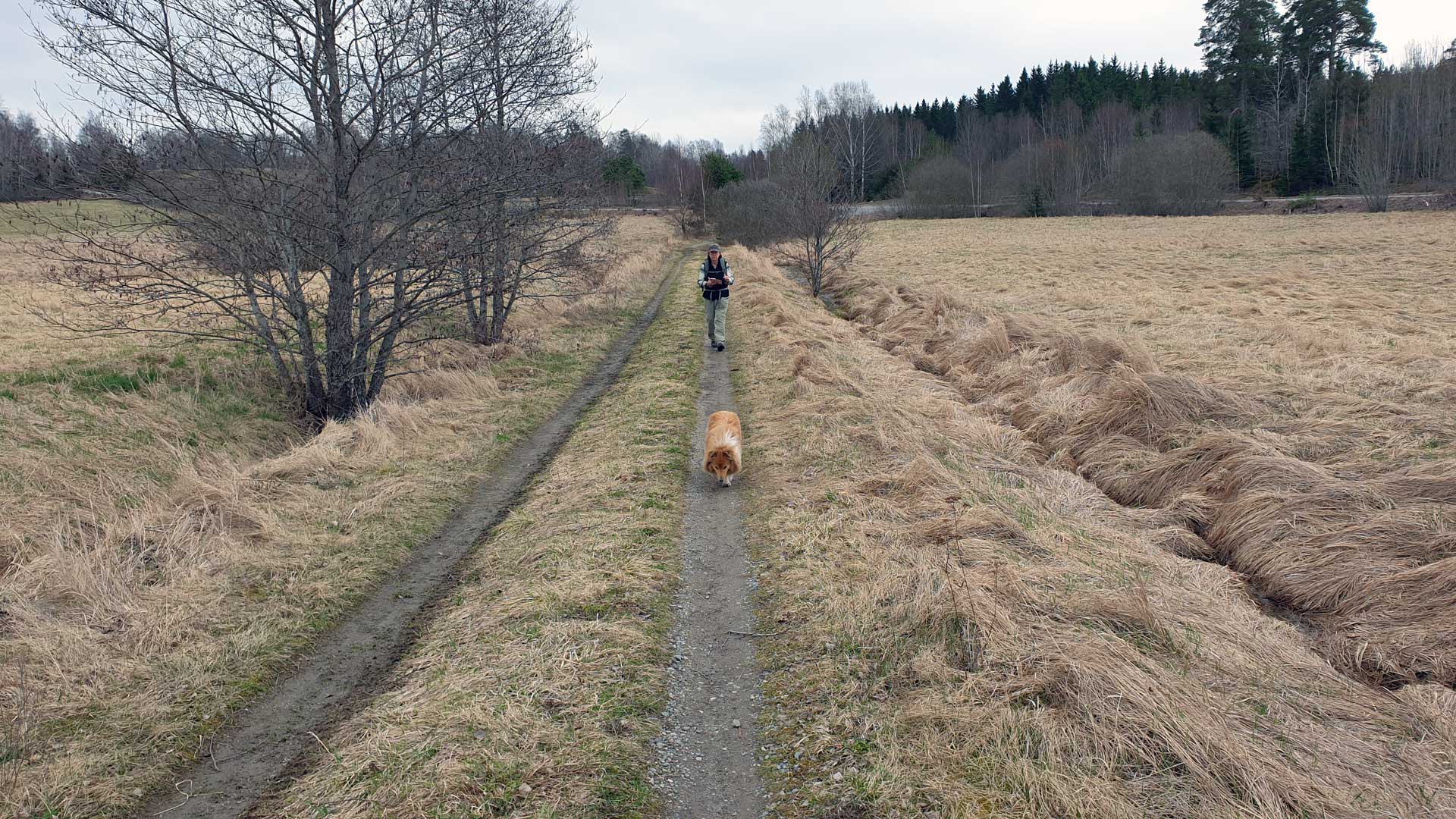 Övningsfältet, snart framme vid Postnords anläggning