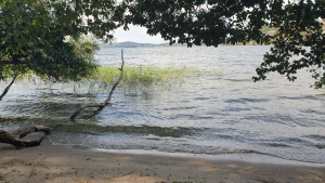 Mälaren  nära Sätrabadet (Mariatorget Vårbygård 2024-08-27 16 km)