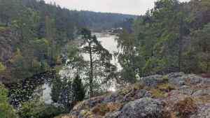 Sundet mellan Dammtorpssjön och Söderbysjön (Skarpnäck-Hammarby sjöstad 2024-09-24 9 km)