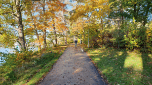 Strandpromenad nära Hässelby (Hässelby strand - Alviks strand 2024-10-15 14 km)