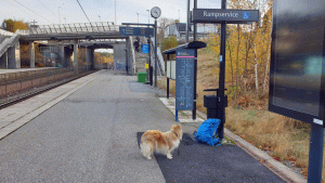 Starten vid Mölnbo station