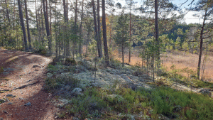 Sörmlandsleden mellan Mölnbo och Järna