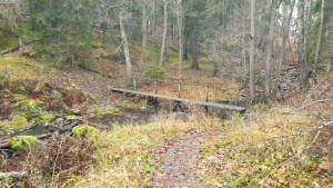 Bäcken invid Trollskogen