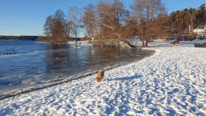 Ängbybadet (Hässelby-Alvik 2025-01-05)