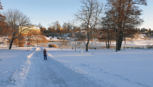 Edsviken vid Edsvikens slott (Sollentuna-Bergshamra 2025-01-12)