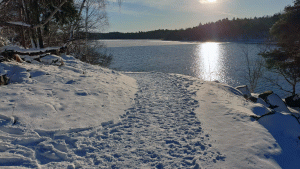 Vandring längs Edsviken (Sollentuna-Bergshamra 2025-01-12)