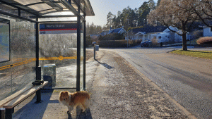 Framme vid Stäkets hållplats