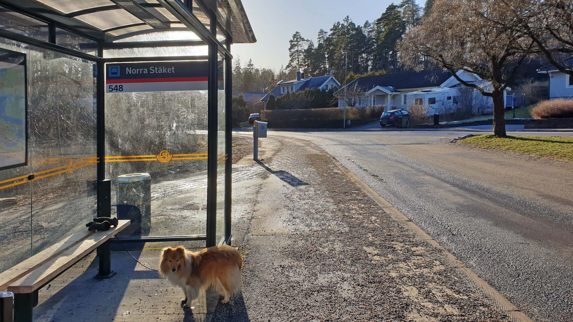 Framme vid Stäkets hållplats 13:50  (Upplands Väs by - Norra Stäket via Ängsjö 2025-02-06 16 km)