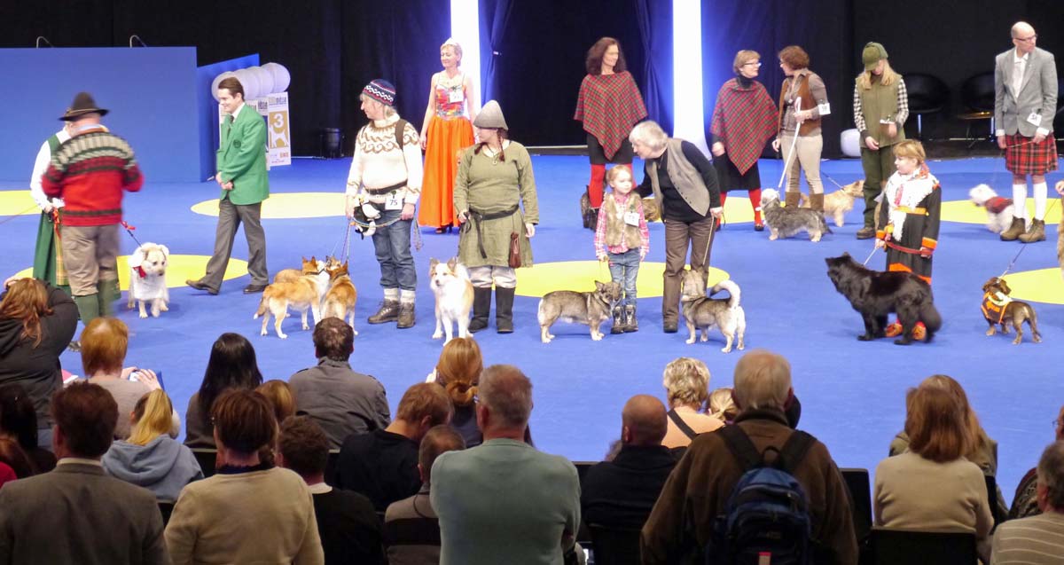 At the dog exhibition at Älvsjö, we learned about the breeds we were most interested in